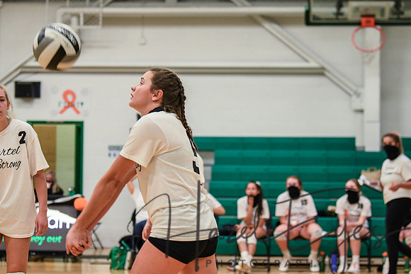 2020 VB vs Wellington-85