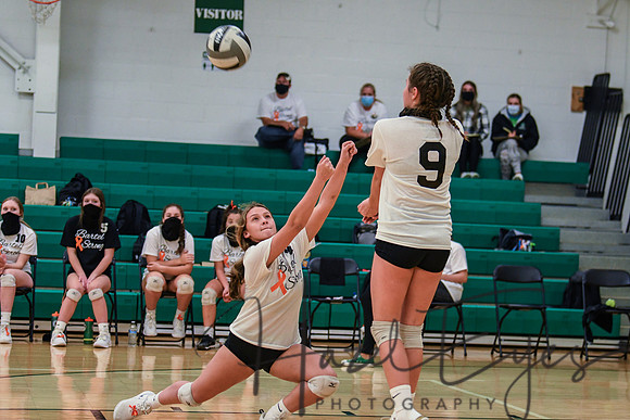 2020 VB vs Wellington-87