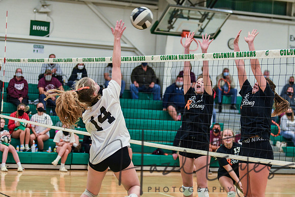 2020 VB vs Wellington-111