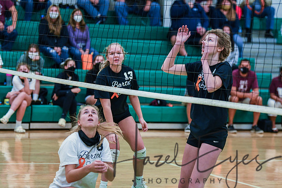 2020 VB vs Wellington-117