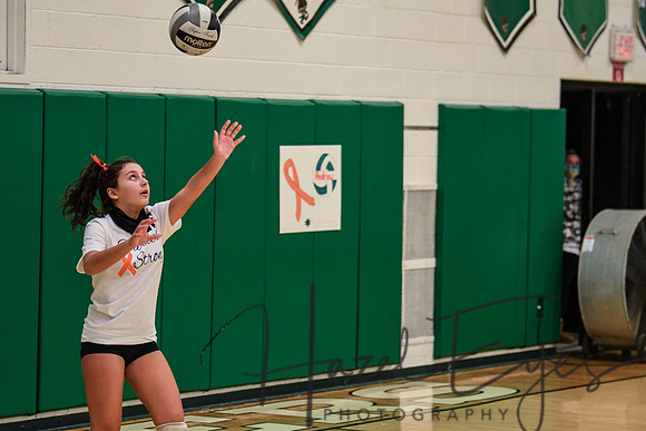 2020 VB vs Wellington-121
