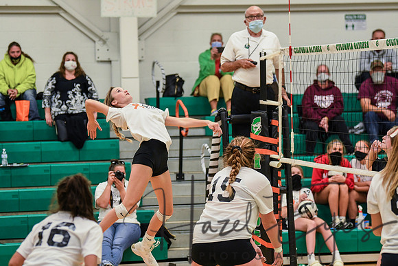 2020 VB vs Wellington-123