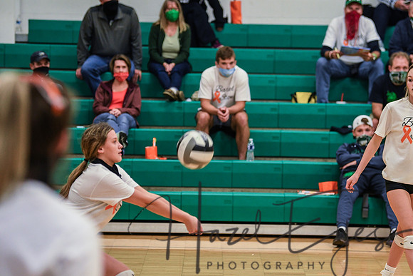 2020 VB vs Wellington-132