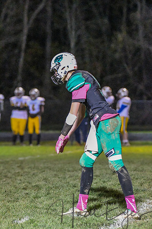 2020 CHS FB G8 vs Waynedale-246