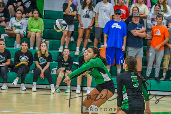 2022 VOLLEYBALL vs Firelands 09122022-31