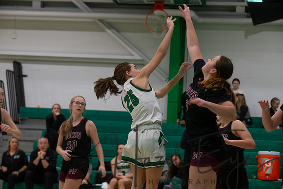 2024-2025 BB JV Girls vs Wellington 01182025- (13)