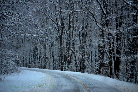 Winter.5