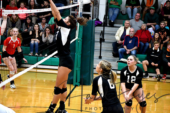 Volleyball vs LW 3