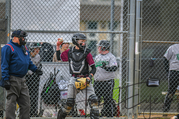 2022 BASEBALL JV vs Wellington 04262022-2