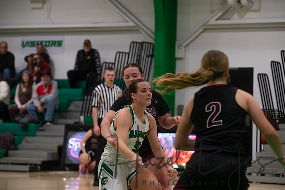 2024-2025 BB JV Girls vs Wellington 01182025- (46)