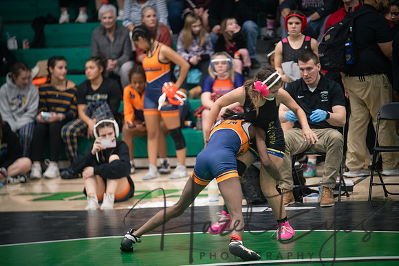 2025_WRESTLING Columbia Lady Raider Invitational 01242025-65
