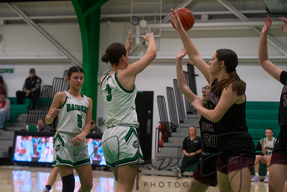 2024-2025 BB JV Girls vs Wellington 01182025- (35)
