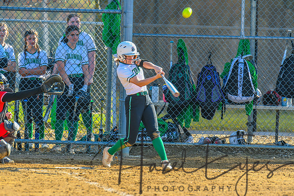2022 Softball Varsity vs Firelands 04302022-73
