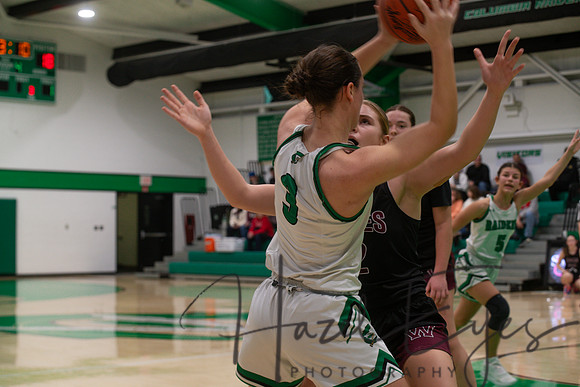 2024-2025 BB JV Girls vs Wellington 01182025- (55)