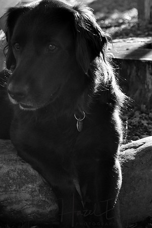 Titus.2013 (40)