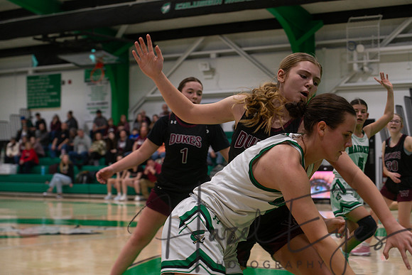 2024-2025 BB JV Girls vs Wellington 01182025- (56)