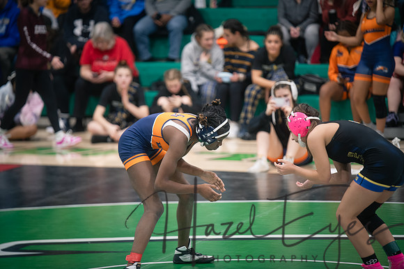 2025_WRESTLING Columbia Lady Raider Invitational 01242025-55