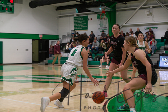 2024-2025 BB JV Girls vs Wellington 01182025- (43)
