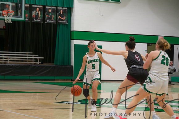 2024-2025 BB JV Girls vs Wellington 01182025- (6)